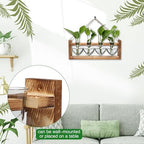 Plant Propagation Stations Heart Plant Terrarium Kit - Image 3