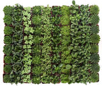 Shop Succulents Verde Succulent Plant Pack Bulk Collection - Live Mini Succulent Plants, Low Maintenance, Mix of Green Succulents & Textures - Wedding and Party Favors, Gift & Garden, Pack of 32 - Image 2