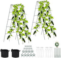 Foldable Cucumber Trellis - 2 Pack by Toriexon