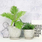 8 Inch + 6 Inch Retro Ceramic Planter Set of 2 with Drainage Hole and Saucer for Multiple Plants, Indoor-Outdoor Garden Pots for Succulent, Orchid, and Flower (Retro White) - Image 4