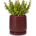 D'vine Dev Beaded Ceramic Pot with Saucer, 6 in, Burgundy Red, 27-C-X-M by DvineDevPlanterPotsandStand
