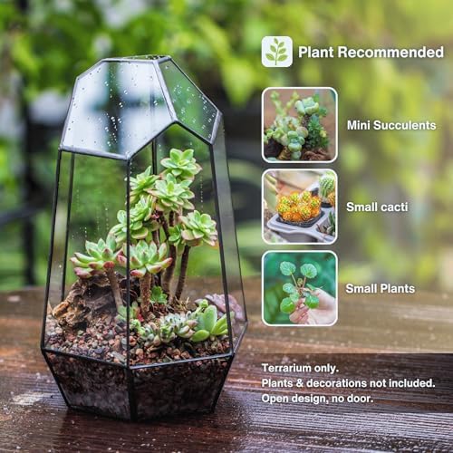 NCYP No Door Geometric Glass Terrarium Planter for Small Succulent, Small Cacti, Black Irregular Opened Terrarium Pot, Indoor Home Garden Office Tabletop Decor, 6.5" x 5.7" x 9.8" (No Plants) - Image 2