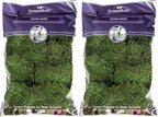 Super Moss Mood Moss Preserved Natural Green 1200cuin, Fresh Green, 200 in3 Bag (Appx. 8oz) (21539) (Pack of 2) by SuperMoss
