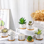 Fumete 24 Set Religious Gift Bulk Bible Verse Succulent Pots, Scripture - Image 4