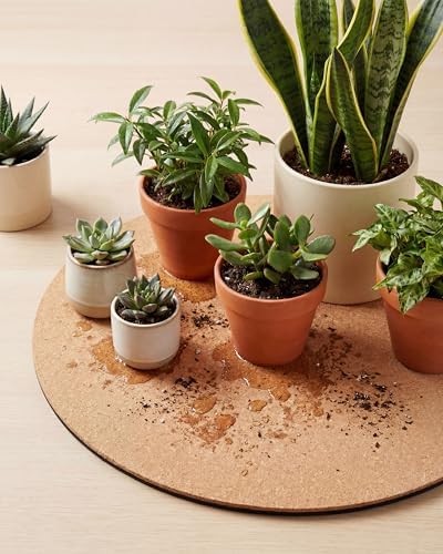 Vensovo Cork Plant Coasters & Saucers – Absorbent Round Mats for Indoor Flower Pots, Planters, Houseplants, Surface Protector for Table & Floor, 2pcs-18inch - Image 6