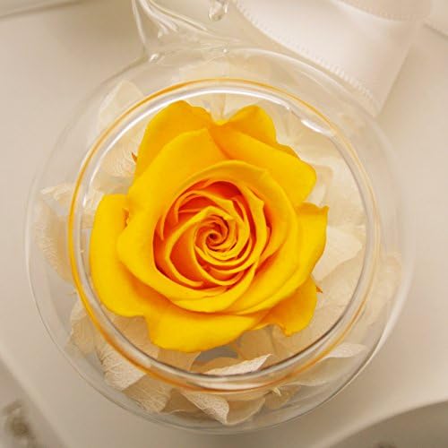 RoseStory®|Preserved Yellow Rose Terrarium|Glass Hangning Terrarium Kit - Image 2
