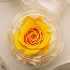RoseStory®|Preserved Yellow Rose Terrarium|Glass Hangning Terrarium Kit - Image 2
