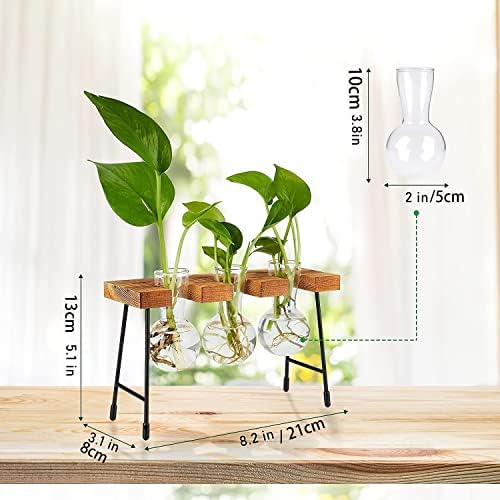Plant Terrarium with Wooden Stand, Air Planter Bulb Glass Vase Metal Swivel Holder Retro Tabletop for Hydroponics Home Garden Office Decoration - 3 Bulb Vase - Image 4