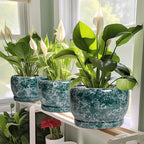 SQOWL Ceramic Pot for Plants - 6 Inch Ceramic Planter with Drainage Hole and Saucer, Round Flower Pot for Indoor Outdoor, Decorative Small Planter, Room Home Decor, Plant Lover Gifts, Green - Image 5