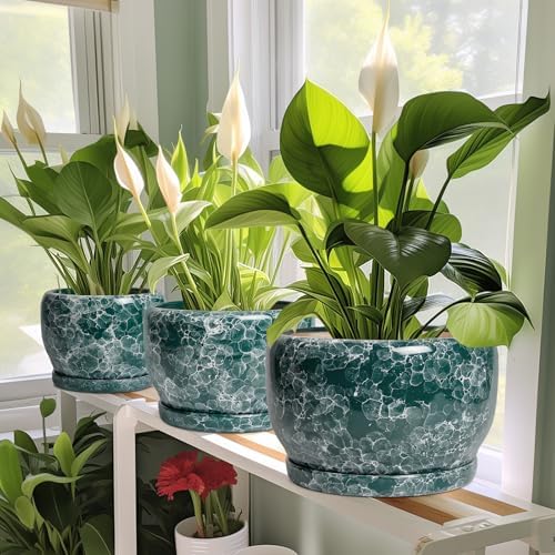 SQOWL 8 Inch Plant Pot - Ceramic Planter for Indoor Plants, Decorative Flower Pot with Drainage Hole and Saucer, Round Planter Outdoor, Room Patio Decor, Garden Gifts for Women, Green - Image 6