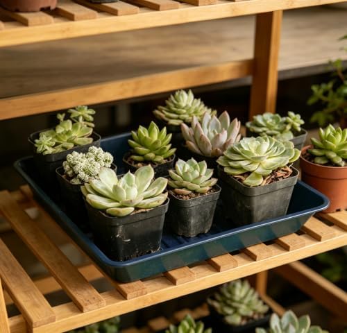 2 Packs Square Plant Saucer Pot Tray, 16 inch Blue Flower Planter Saucers and Drip Trays - Image 3