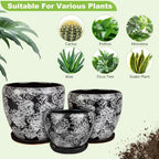 Ceramic Plant Pots With Saucer & Drainage Hole, 6 inch Indoor Flower Pots - Image 5