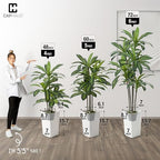 CAPHAUS 5FT Artificial Dracaena Tree 60 Inch – Tall Fake Floor Plant in White Planter with Moss for Living Room Office Home Decor – Low Maintenance Large Indoor Faux Tree - Image 3