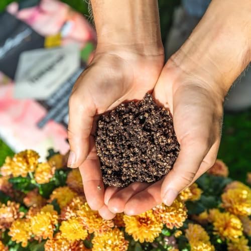 LECHUZA TERRAPON Organic Potting Soil, 2.7 US Dry gal - Image 7