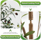 4Ft Artificial Olive Tree with Moss & Basket - Indoor Tall Faux Olive Tree in Planter, Large Fake Olive Silk Tree with Realistic Branches and Fruits for Home Decor, Office, Living Room - Image 5