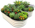 Raised Garden Bed, Metal Planter Box, Oval Shape, Outdoor Planting Flower Herb Vegetable Planter(2 PCS of 4×2×1 ft, Ivory Oval) by BPAGO