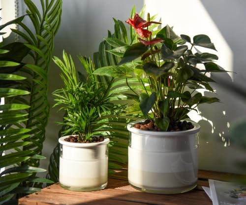 Phoenix Vine 6 Inch 4 Inch Self Watering Planter Pots, Design White Terracotta Pots for Plants, Indoor Cylinder Terra Cotta Pots with Glass Vase Set, 51-B-G-46 - Image 2