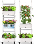 Hydroponics Growing System,AOONEG 42Pods Indoor Herb Garden with LED Grow Light,Hydroponics Growing System Kit with Automatic Timer,Pump System,Adjustable Height,No Seed by AOONEG