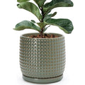 D'vine Dev Beaded Ceramic Pot with Saucer, 8 in, Olive, 27-C-Q-0 by DvineDevPlanterPotsandStand