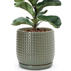 D'vine Dev Beaded Ceramic Pot with Saucer, 8 in, Olive, 27-C-Q-0 by DvineDevPlanterPotsandStand