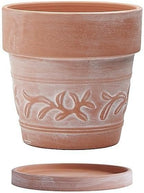 8" Embossed Whitewashed Terracotta Planter with Drainage Hole & Saucer, Rustic Style Unglazed Terracotta Pot for Indoor & Outdoors Plants - Image 2
