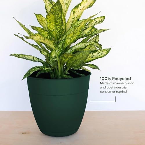 Bloem Dayton 20" Recycled Plastic Planter with Saucer, Turtle Green, 2-Pack - Image 3