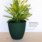 Bloem Dayton 20" Recycled Plastic Planter with Saucer, Turtle Green, 2-Pack - Image 3