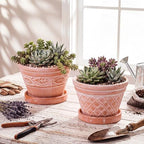 Maxdot Set of 6 Embossed Succulent Pots 6" Small Terracotta Pot, Wide Style - Image 5
