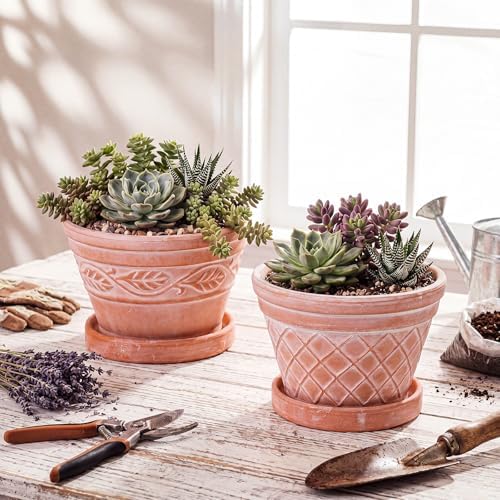 Maxdot Set of 6 Embossed Succulent Pots 6" Small Terracotta Pot, Wide Style - Image 5