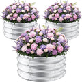 ZXZYHFTY Round Raised Garden Bed Set, 3 Pack, 2 x 2 x 1 Ft, Silver by ZXZYHFTY