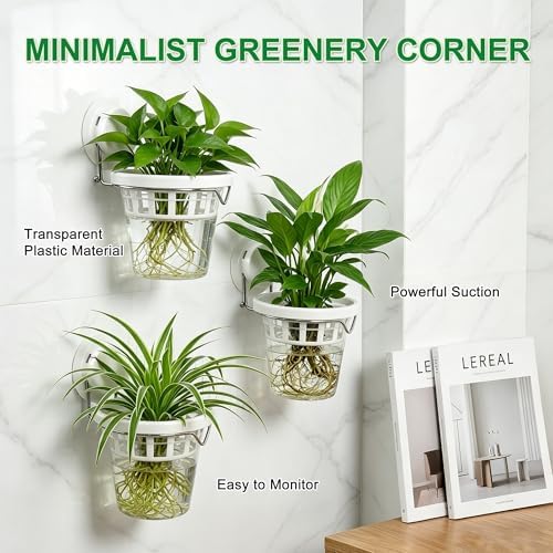 3-Pack Window Propagation Stations Hanging Clear Planter with Suction Cup - Image 2