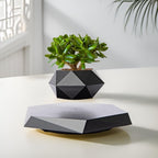 MOOCCI Levitating Plant Pot, Floating air Planter for Succulents - Image 6