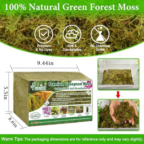 Halatool 4.4 LB Natural Green Forest Moss, Long Fiber Dried Sphagnum Moss - Image 2