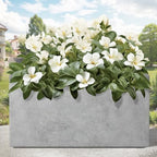 Kante Modern Rectangular Pale Gray Concrete Planter 23" L 12" H 12" W - Image 4
