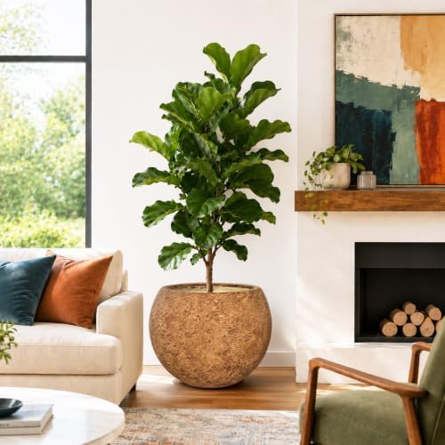 17" H x 21" Dia Round Brown Fiberstone Planter Pot with Drainage Hole, Lightweight UV-Resistant Stone-Look Decorative Planter for Olive Trees, Large Plants & Indoor Outdoor Patio, Porch & Garden - Image 6