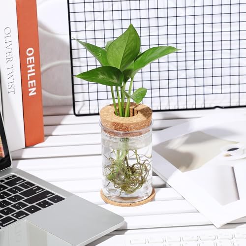 Baderke 24 Packs Plastic Desktop Plant Terrariums Propagation Planter Tabletop Planting Vase with Lid and Cork Plant Coasters for Growing Hydroponic Home Office Table Decoration(Classic Style) - Image 3