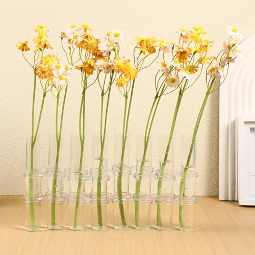 Hydroponic Glass Tube Vase 15x2.5cm 8pcs Set for Flower Arranging and Home Décor, Glass Floral Container for Water Plant Propagation - Image 6