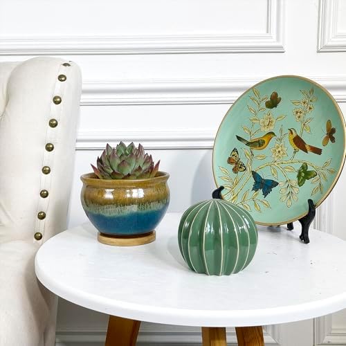 5.5 Inch Succulent Pot with Drainage and Free Saucer Glazed Terracotta Round Ceramic Succulent Planter Cactus Bonsai Plant Pot (Set of 4) - Image 7