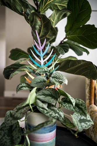 Treleaf Bare™ Bundle – Monstrella + Palmella - Set of 2 Wooden Plant Trellises for Indoor Climbing Houseplants – 12” Tall Customizable Leaf-Shaped Plant Supports - Image 3