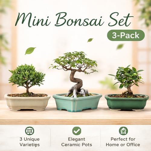 3-Pack 6 Inch Ceramic Bonsai Pots with Drainage Tray for Desktop - Image 3
