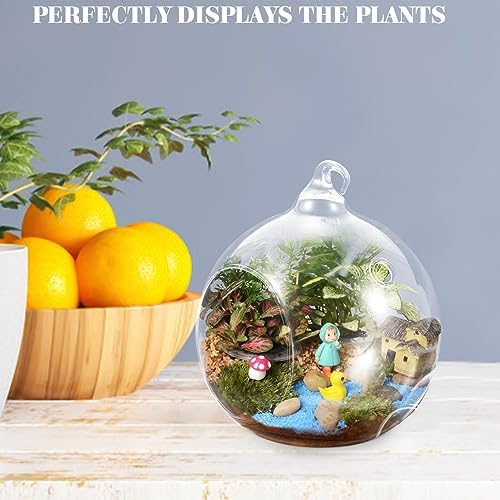 2pcs Globe Hanging Terrarium Glass Flower Plant Display for Patio - Image 3