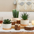 Artificial Succulent Plants in Ceramic Pots Set of 3 - Image 6