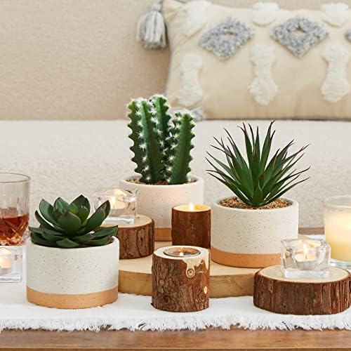 Artificial Succulent Plants in Ceramic Pots Set of 3 - Image 6