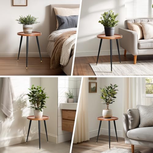 KINNARY Plant Stand Indoor, Mid Century Wood Plant Table Plant Holder with Raised Design,Heavy Duty Metal Tall Flower Pot Stand, Modern Home Decor Small Round Side End Table(11.8"x16") - Image 7