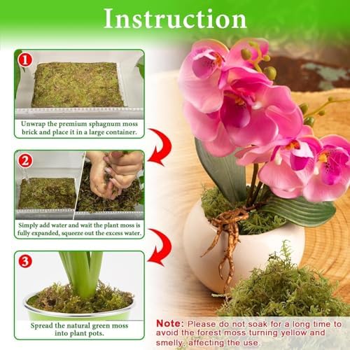 Halatool 5.5 LB Natural Green Forest Moss, Long Fiber Dried Sphagnum Moss - Image 4