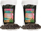 GARDENERA Zamioculcas Plant Potting Soil - Experience Striking Leaves and Vibrant Growth with Professional Grade Mix - 10 Quart by Gardenera