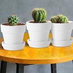 Lallisa 36 Pieces 3 Inch Mini Terracotta Pots with Saucers and Drainage Hole White Paintable Pottery Small Clay Pots for Crafts Mini Planters for Succulents Cactus Flowers Garden Crafts Wedding Decor - Image 6
