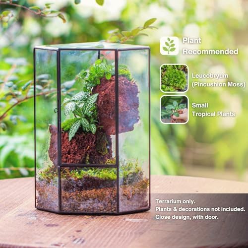NCYP Glass Terrarium with Front Opening Door for Small Plants, Moss Wall - Image 2