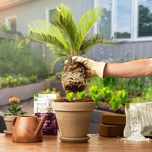 Myco Bliss Powder (5lbs) - Mycorrhizal Fungi for Soil - 5 Strain Mycorrhizal Inoculant with 1000 Propagules Per Gram - Highly Concentrated Mycorrhizae for Plants, Potting Soil, & Garden Soil - Image 7