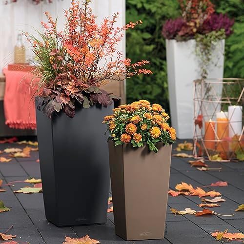 Lechuza CUBICO Color 30 Nutmeg, Self-Watering Tall Planter, H22 L11.8 W11.8 in - Image 6